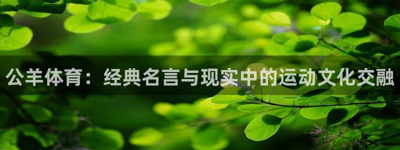 凯发官网下载招商电话号码是多少啊:公羊体育:经典名言与现实中