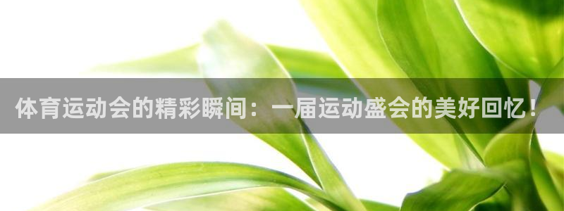 凯发官方正版app科技:体育运动会的精彩瞬间:一届运动盛会的