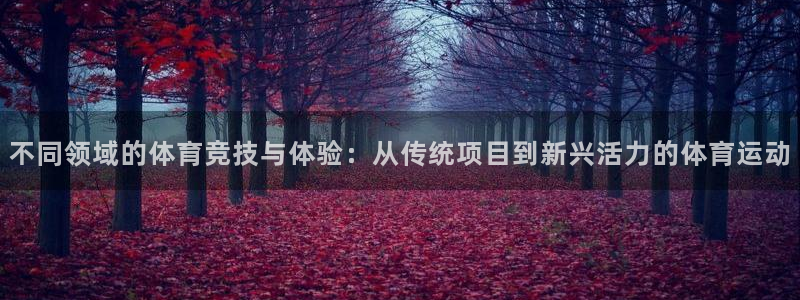 凯发官方正版app集团logo:不同领域的体育竞技与体验:从